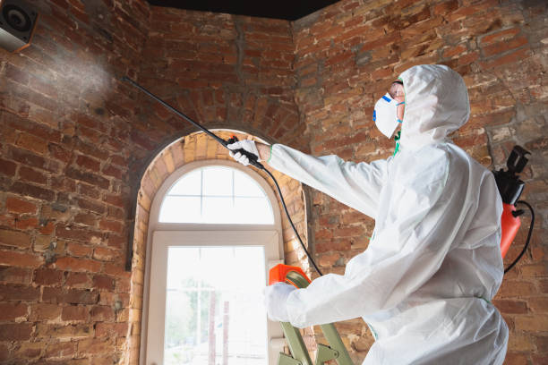 Watford City, ND Mold Removal Services Company